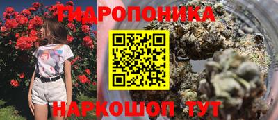 ГАЛЛЮЦИНОГЕННЫЕ ГРИБЫ Краснознаменск