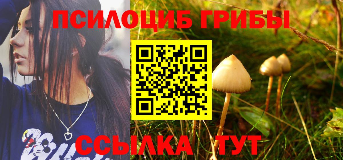 Галлюциногенные грибы мухоморы  Псилоцибиновые грибы Psilocybe  Клин  где купить наркоту  Вход с VPN 