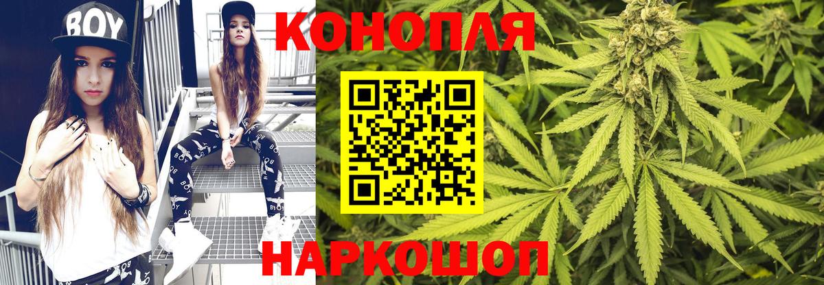 Бошки марихуана сатива Клин